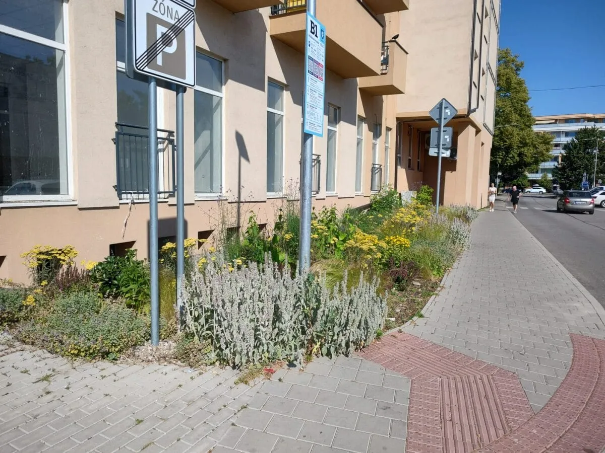 Zlepšenie environmentálnych aspektov v centrálnej zóne mesta Senec