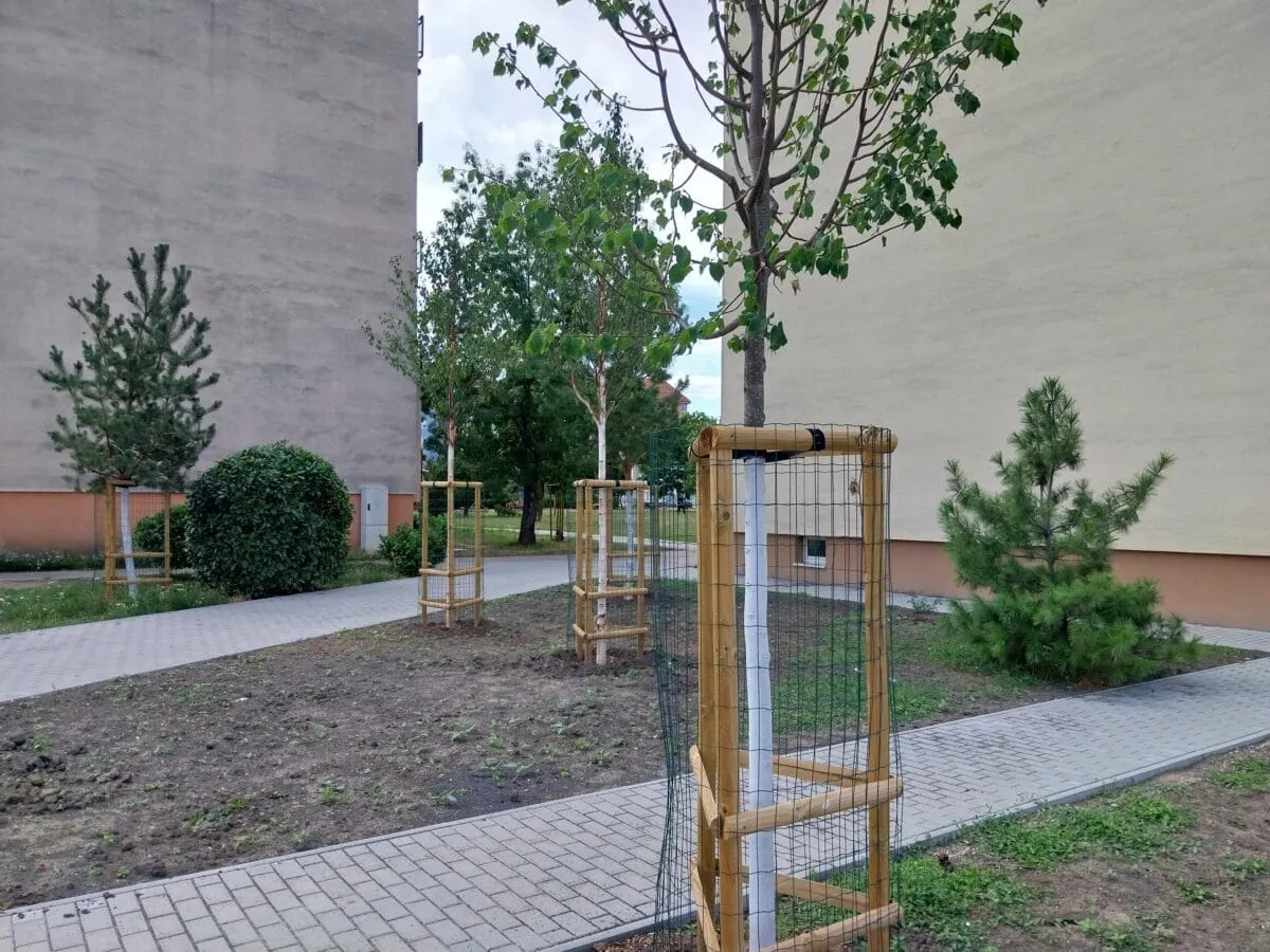 Revitalizácia park Hurbanova ulica, Senec – implementácia zelenej a modrej infraštruktúry